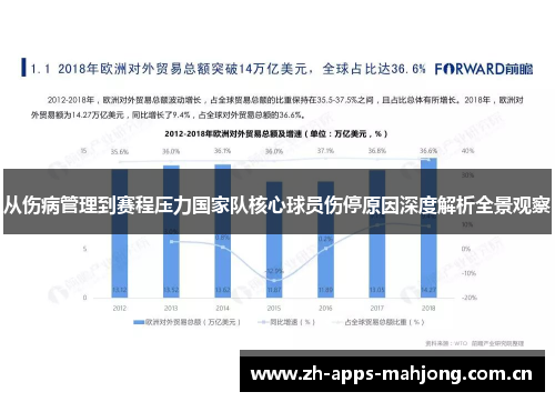 从伤病管理到赛程压力国家队核心球员伤停原因深度解析全景观察 从伤病管理到赛程压力国家队核心球员伤停原因深度解析全景观察